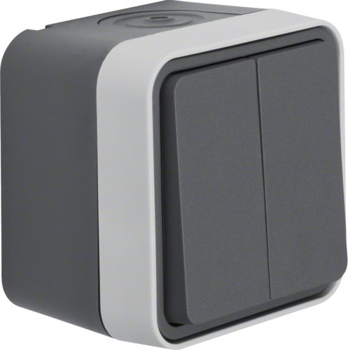 Кнопка 2-клавішна IP55, сірий, 10АX/250В W.1 Berker 50753515