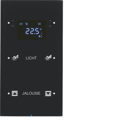 Скляний сенсор 2-кан. з регул.темп-ри, конфігуруємий, чорний, TS Sensor R.1