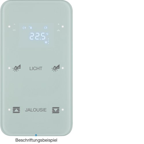 Сенсор 2-кан з регулюванням темп-ри, конфігуруємий, п.білизна, TS Sensor R.1