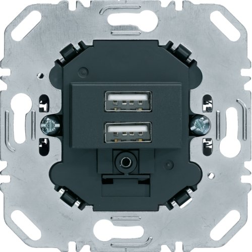 USB-розетка подвійна, 230В, антрацит Berker 260205